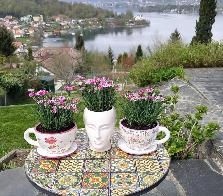 Haus Sonnenhang +Seeblick+Pool Reifnitz Bagian luar foto