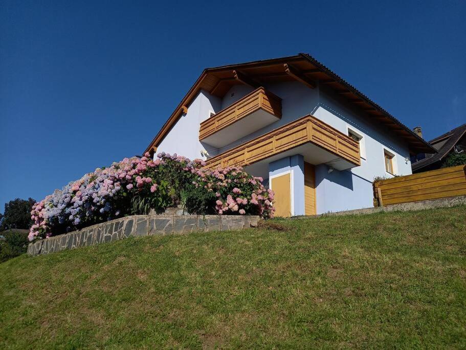Haus Sonnenhang +Seeblick+Pool Reifnitz Bagian luar foto