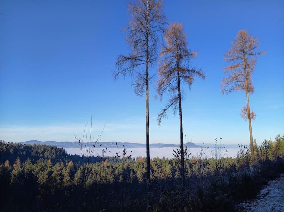 Haus Sonnenhang +Seeblick+Pool Reifnitz Bagian luar foto