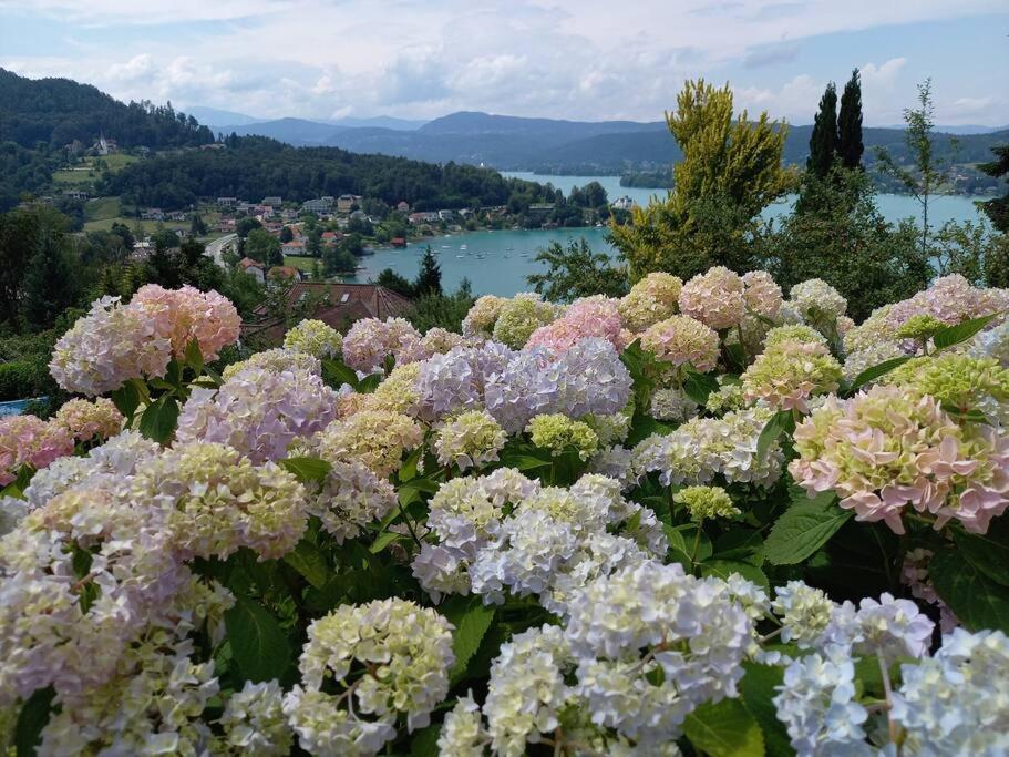 Haus Sonnenhang +Seeblick+Pool Reifnitz Bagian luar foto